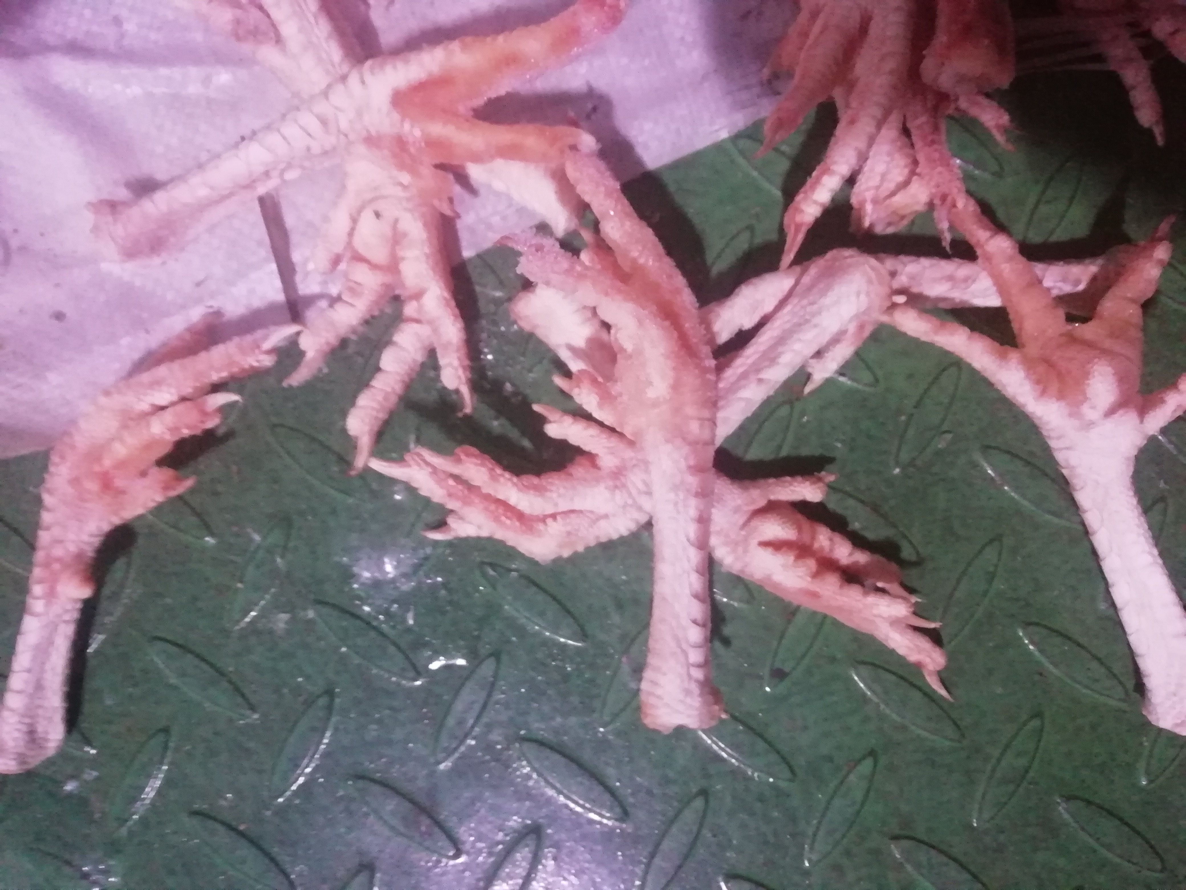 红毛蛋鸡爪