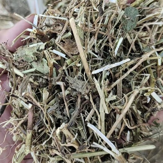 正阳县 新鲜出炉的优质花生秧，花生秧颗粒料、草粉，有需要的老板请砸单