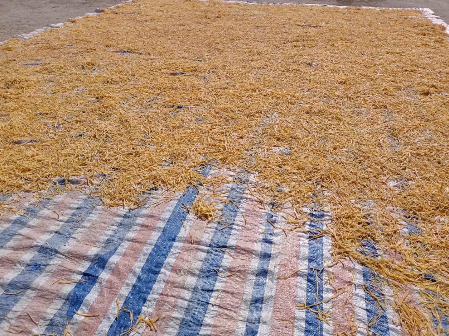 春笋  江西晒笋丝 新货金丝笋 全干嫩笋丝 干货店酒店水发笋