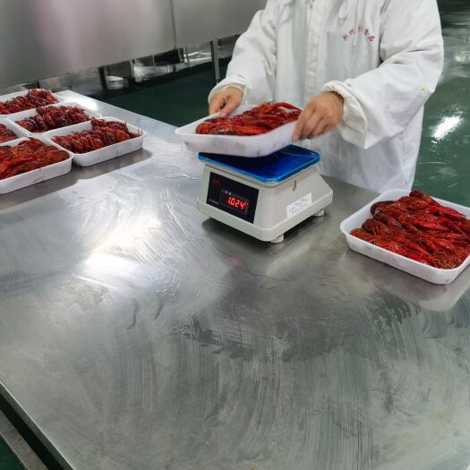 监利市清水小龙虾（液氮速冻）（速冻小龙虾）清水虾 小龙虾尾