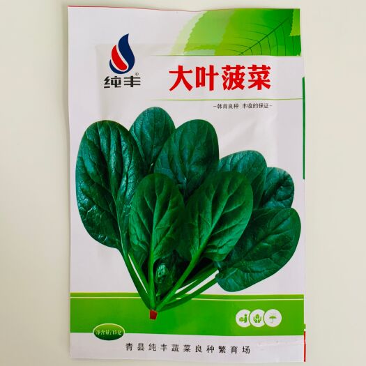沭阳县菠菜种子四季蔬菜秋冬籽种阳台种籽耐热菜种盆栽波菜孑菜籽子
