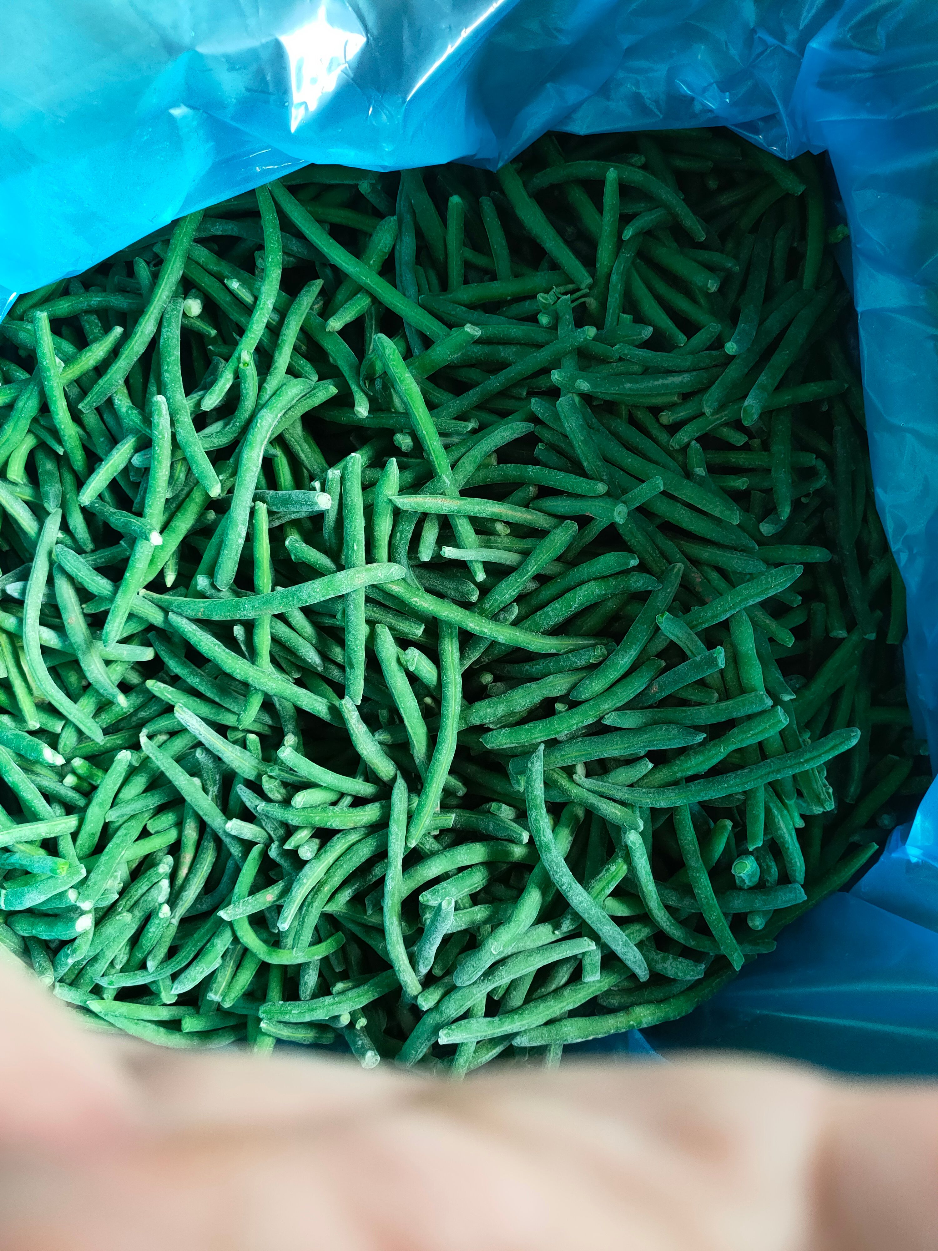 5991刀豆冷冻条，品质好