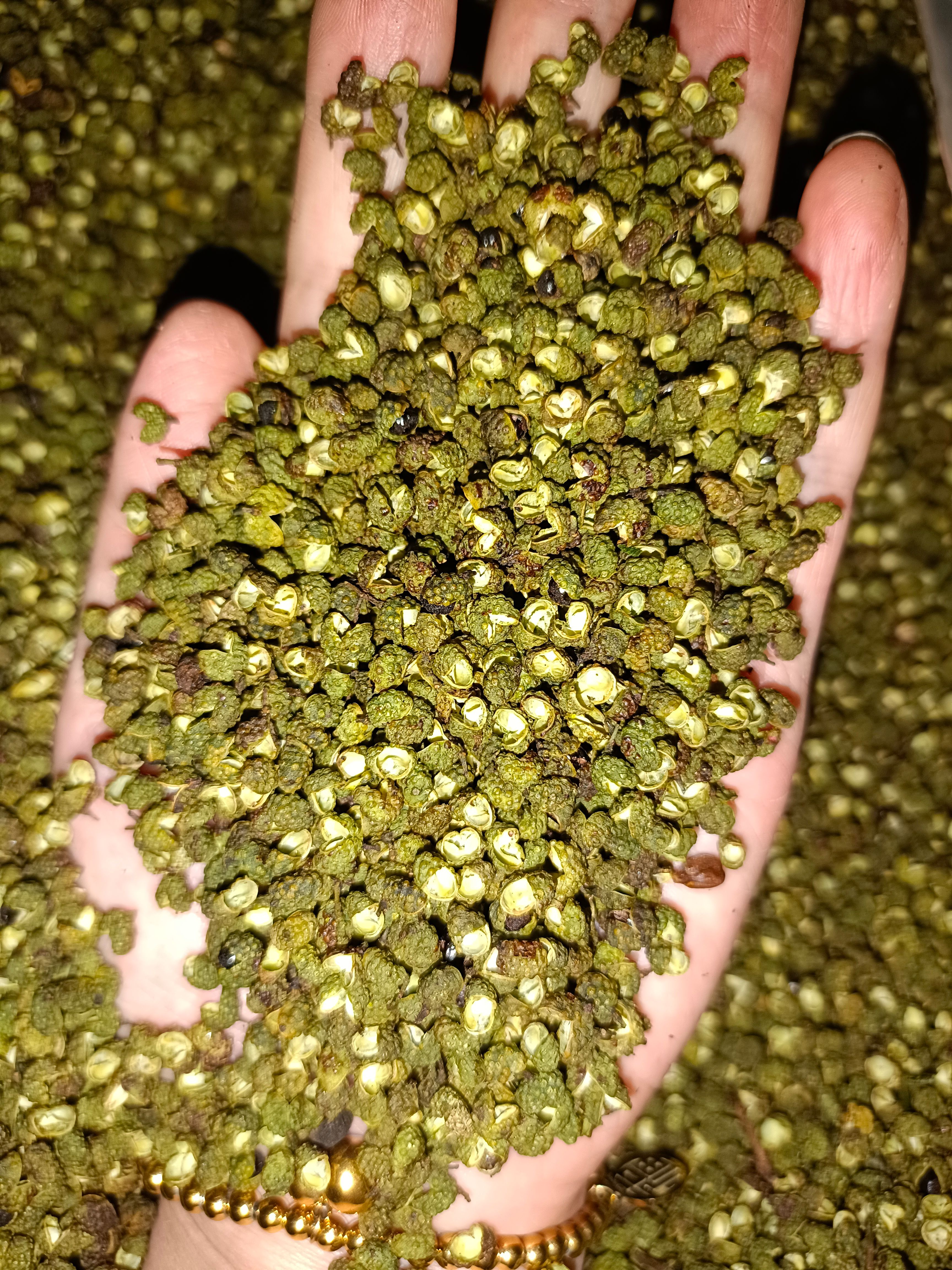 青花椒     云南青花椒     金阳青花椒