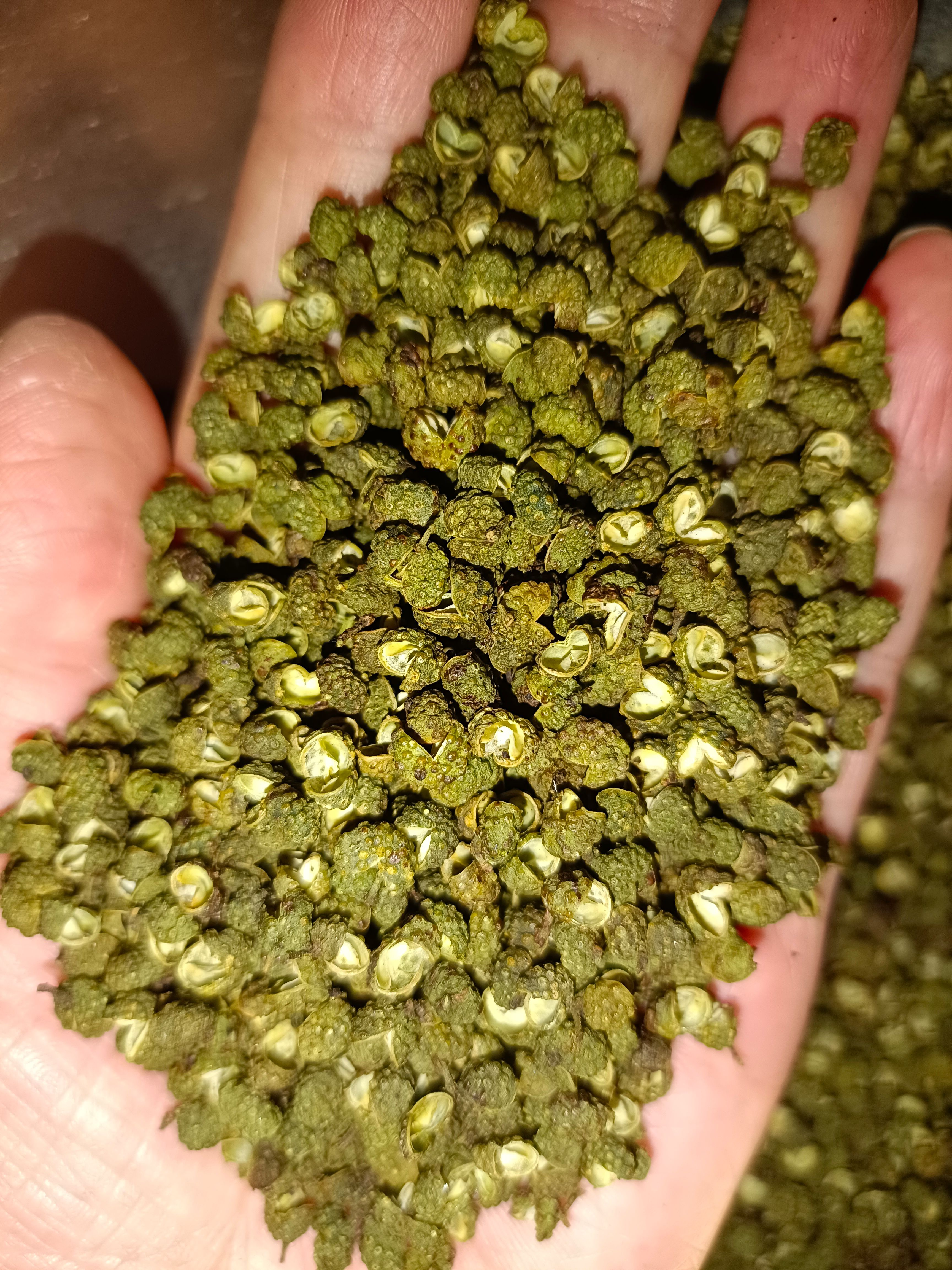 青花椒     云南青花椒     金阳青花椒