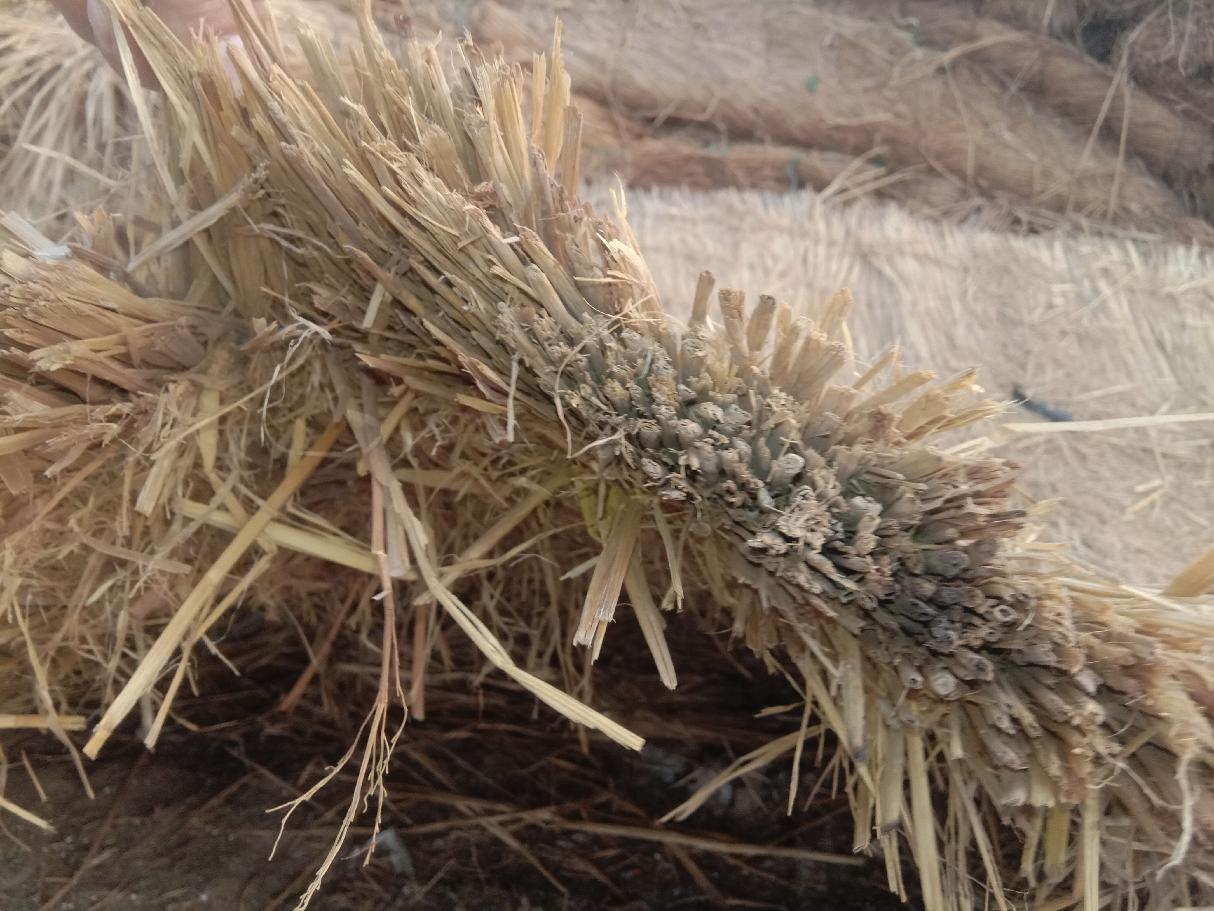 大棚配件 大棚温室棉被，稻草莲，稻香毡，帘