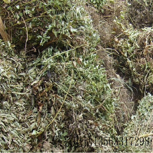 天津秸秆饲料 花生秧