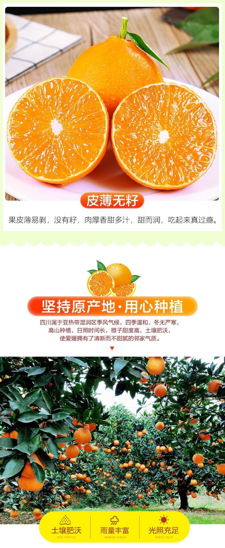 【细腻化渣！明星主推款】爱媛果冻橙38号，