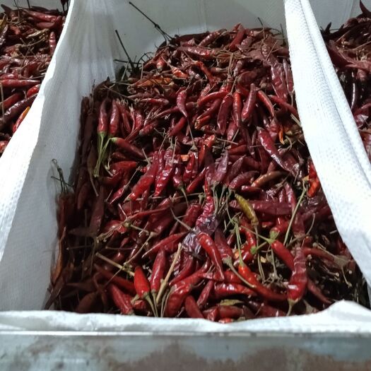 阿克苏市朝天椒干辣椒  朝天椒