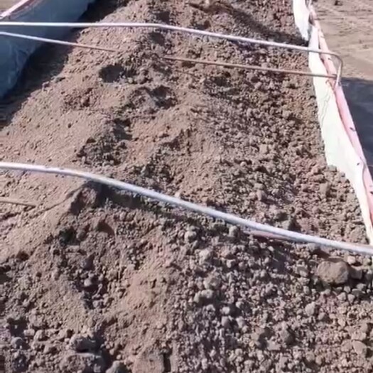 新沂市微生物有机肥 肥料木薯渣 上地用的 各指标好 厂家直供