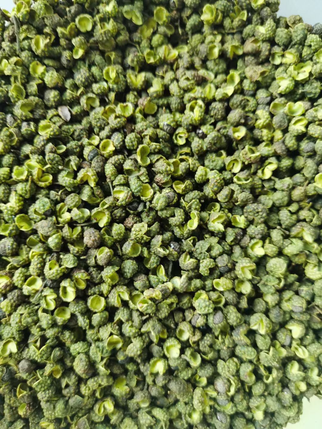 青花椒     云南青花椒     金阳青花椒