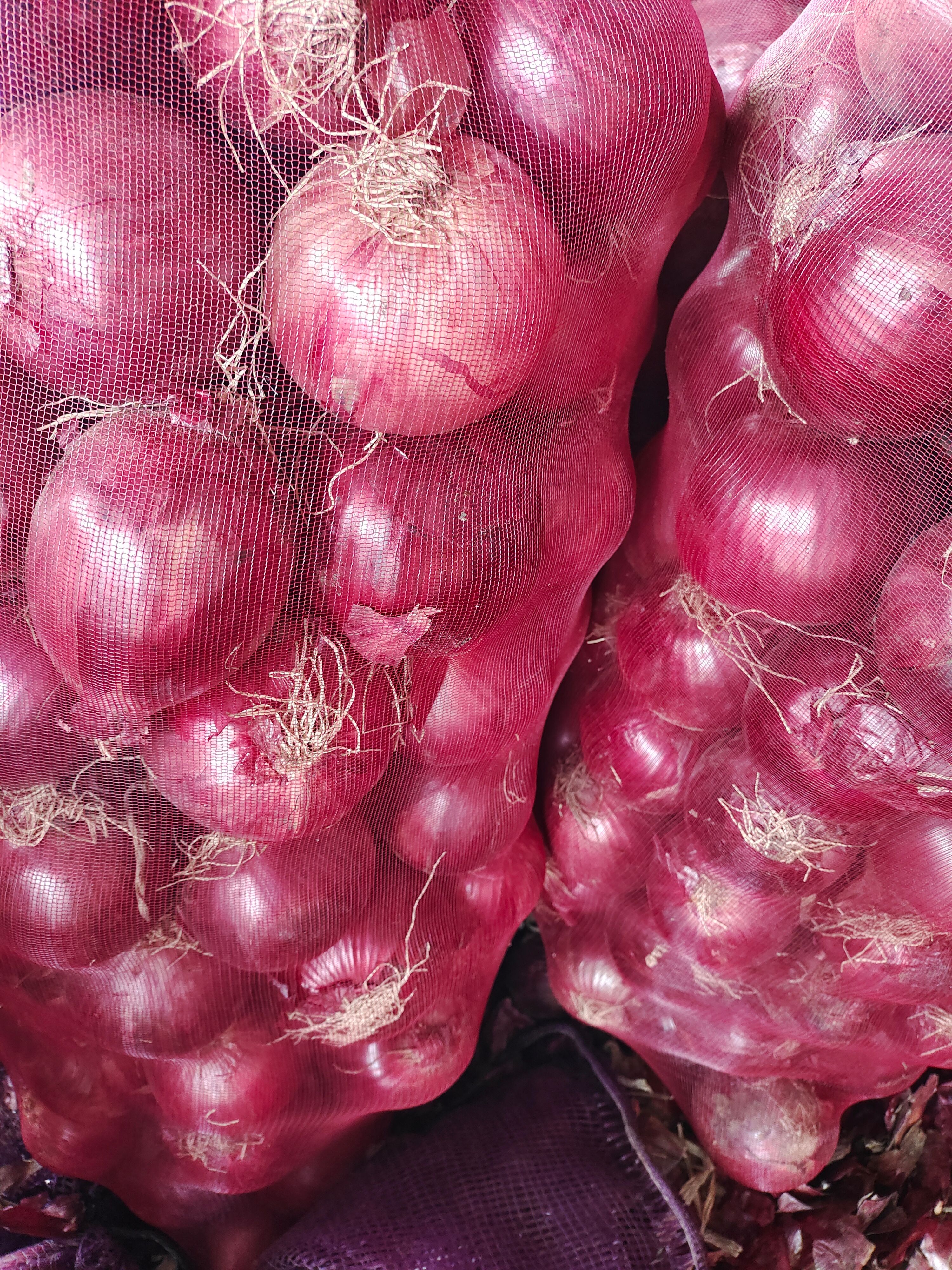 红皮洋葱  紫红洋葱7.5-10规格