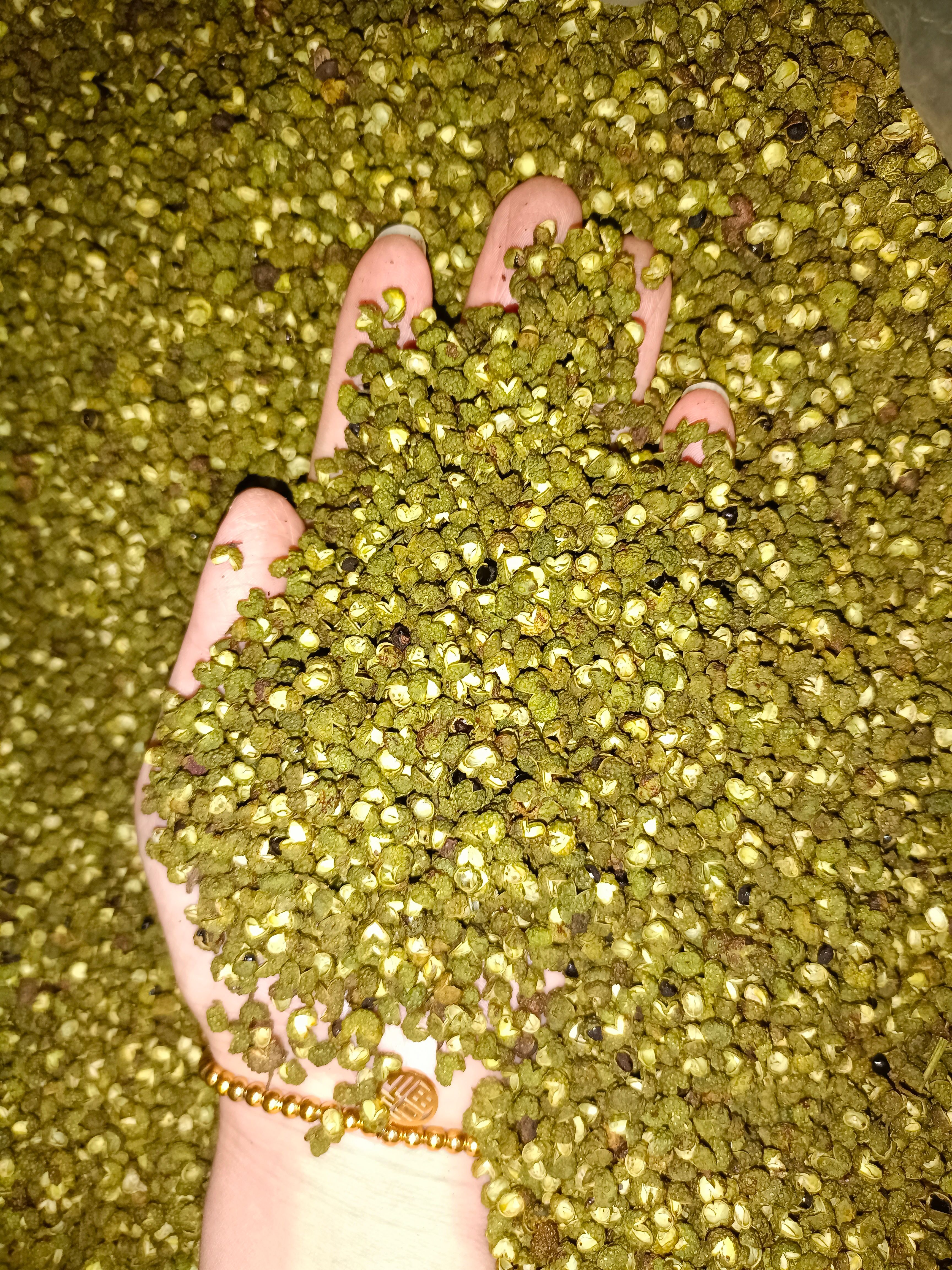 青花椒     云南青花椒     金阳青花椒
