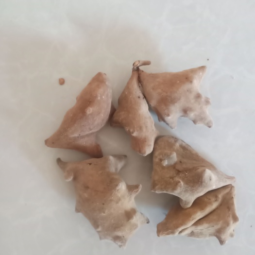 天然五倍子無(wú)硫
