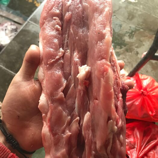 哈尔滨猪骨头 多肉龙骨