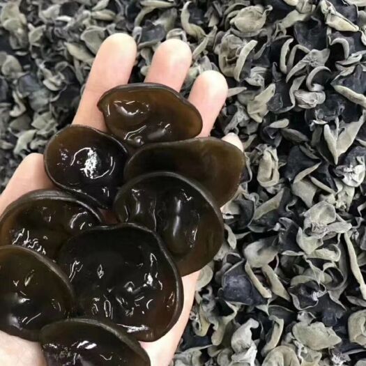 海林市秋木耳黑厚柔软无根，咱家是一品货源，没有任何加价，欢迎选购