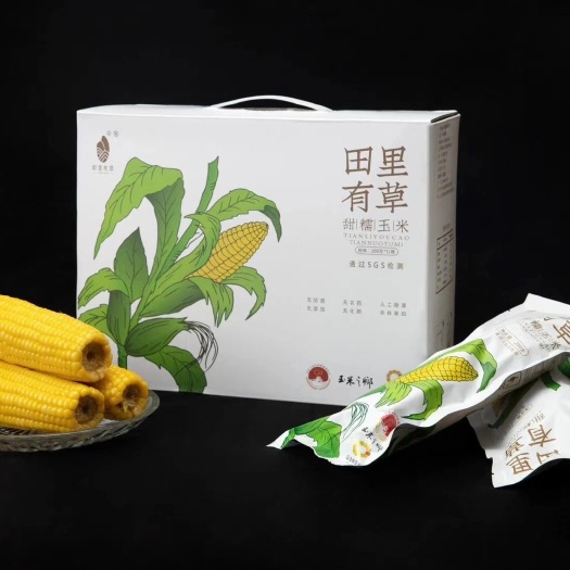 郑州小麦粉 中筋面粉