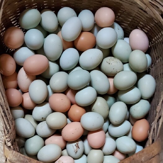 京山市山林散养土鸡蛋，日期新鲜，自产自销无中间环节，良心品质。