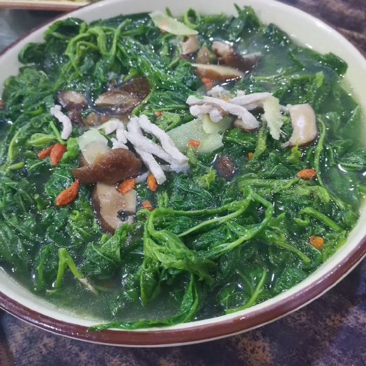 食品级桑叶当季农家桑芽菜桑叶菜新鲜菜批发健康嫩芽酒店餐厅特色
