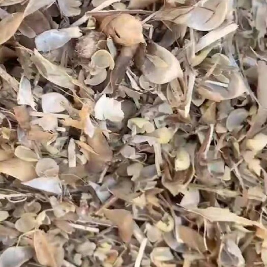 哈尔滨青干草饲料 牛 羊 马 兔