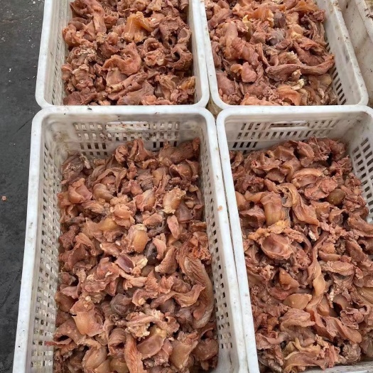 清徐县牛筋  杂筋，新鲜肉筋，骨头筋统称小筋，生制品