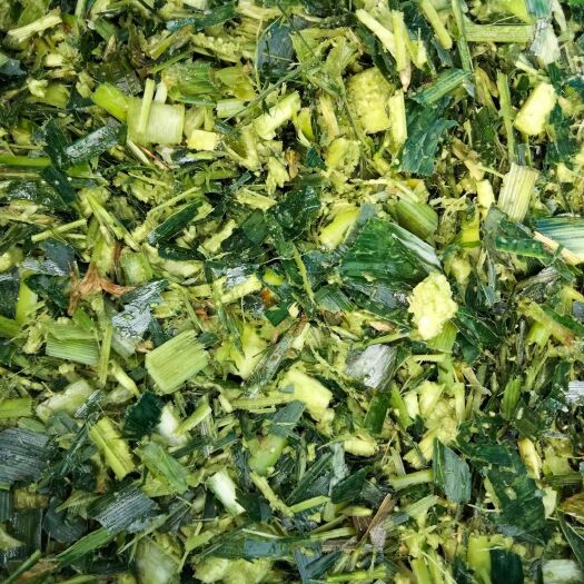 株洲专业玉米杆青储料十年，方包压包保存时间长，冬季必囤