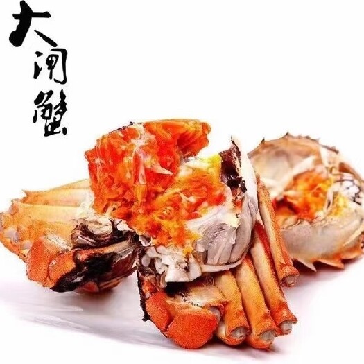 洪湖市洪湖大闸蟹黄满肉质细腻