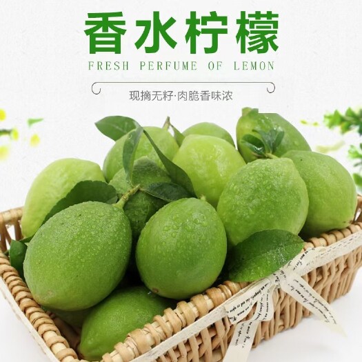 恩平市精品一级果广东无籽四季香水柠檬奶茶店柠檬茶