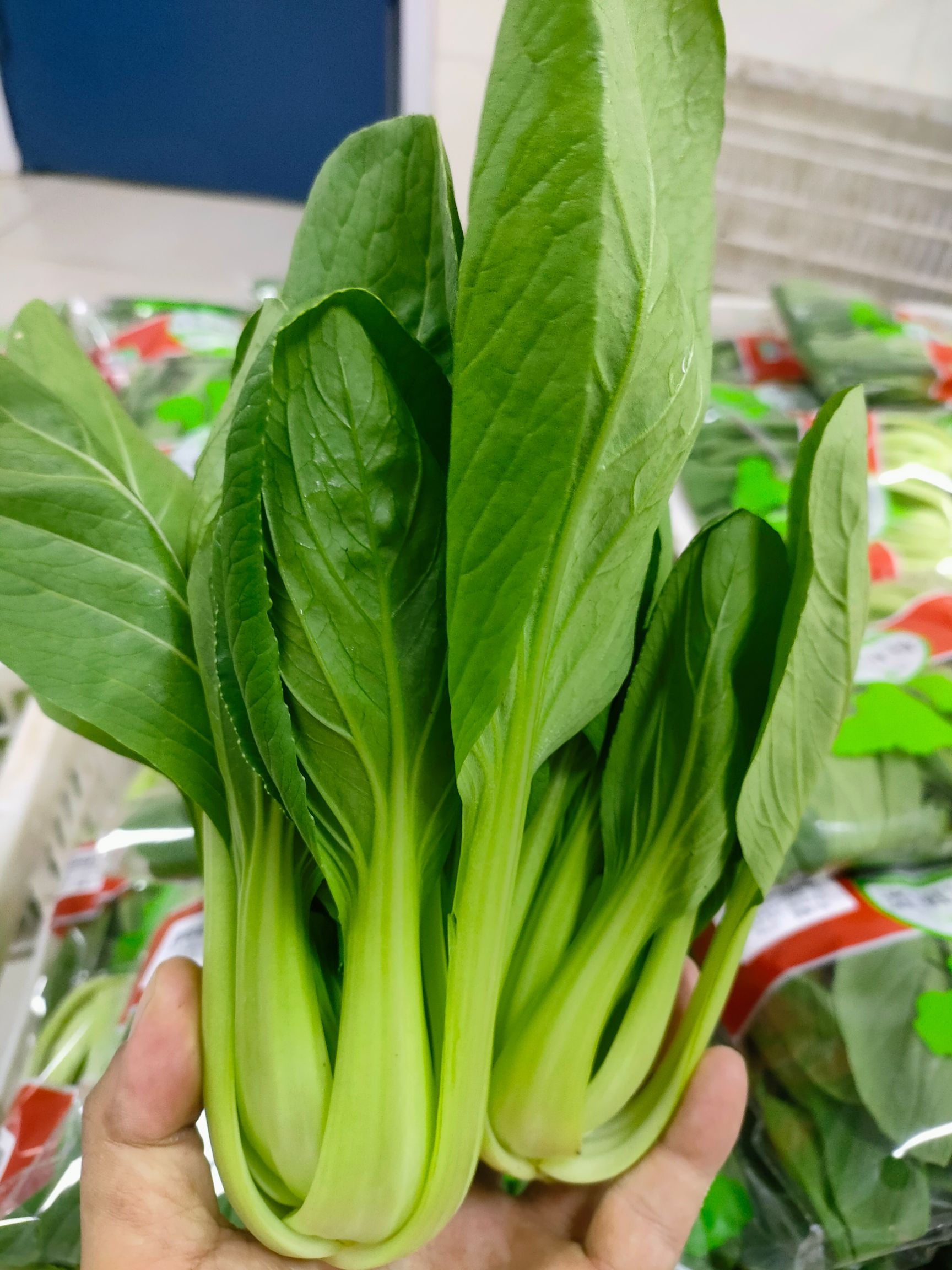 上海青 青菜