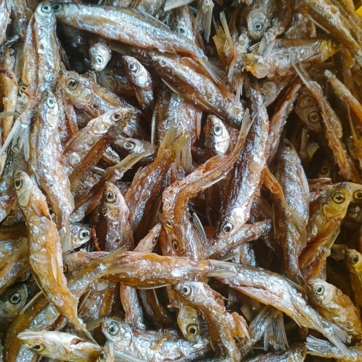 天峨县公鱼干 油炸白肖，质量一流
