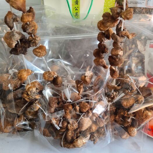 扎兰屯市干猴头菇 天然东北猴头菇