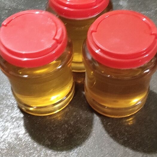 安远县江西赣州大山里的天然蜂蜜