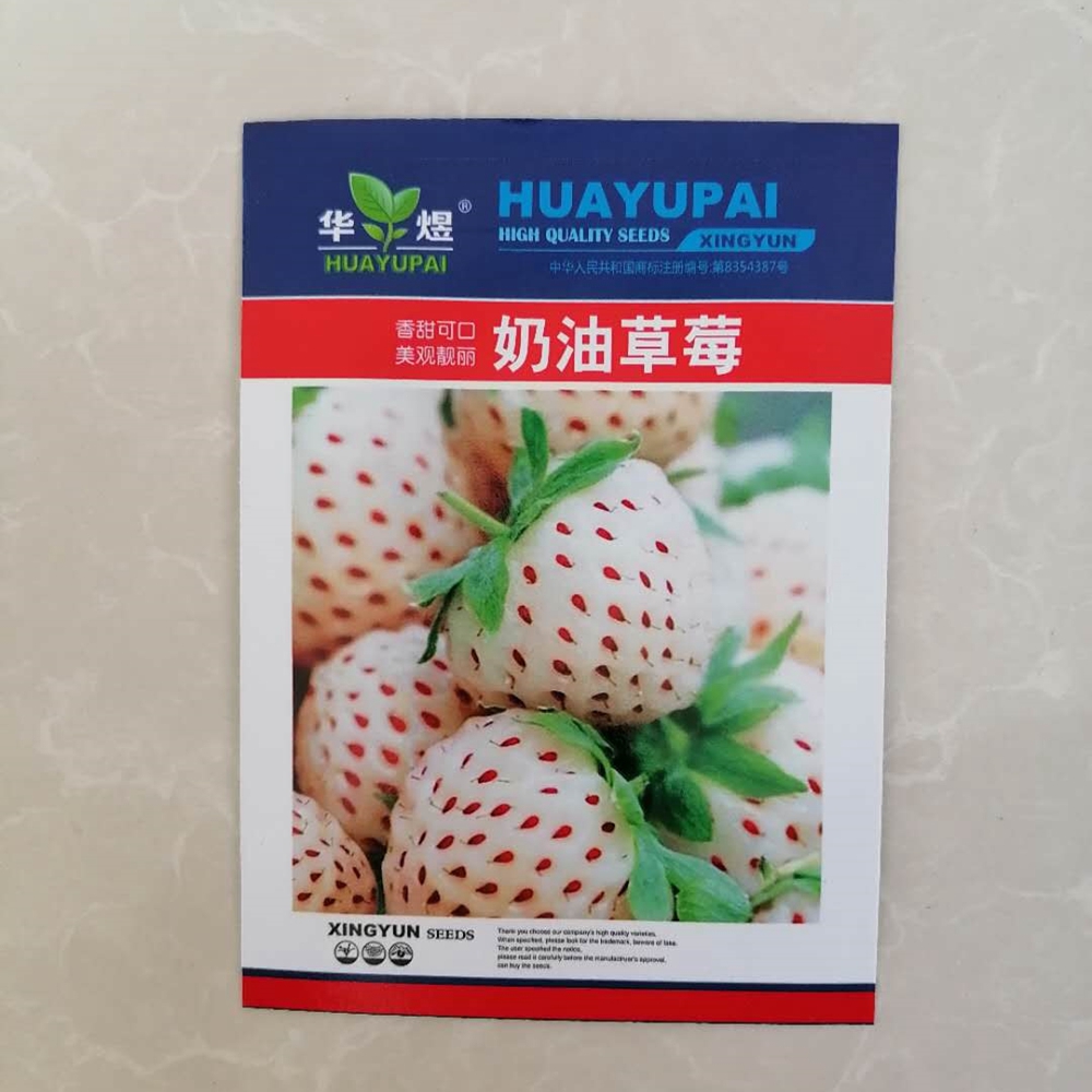 沭阳县奶油草莓种子淡雪草莓四季种植室内阳台盆栽水果农家草莓种子包