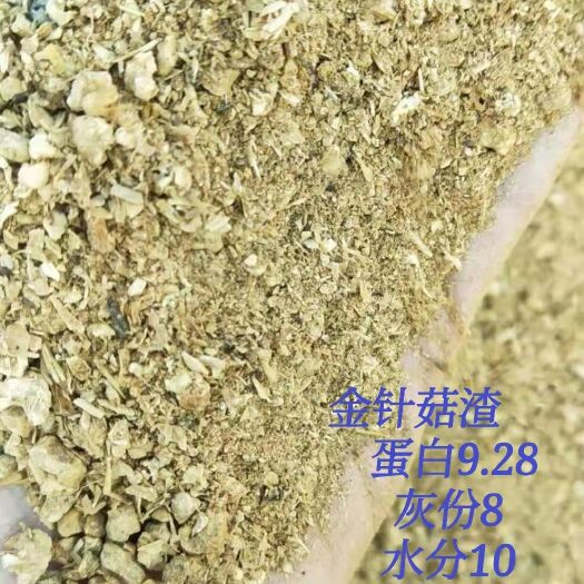 石家庄糟渣类饲料 金针菇渣
