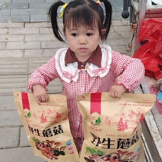 涿州市 承德特产纯野生榛蘑，一级品，炖小鸡必备。