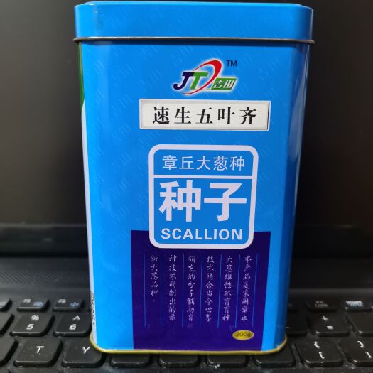 济南长白大葱种子  一手货源 速生五叶齐大葱 一代原种 品质上好