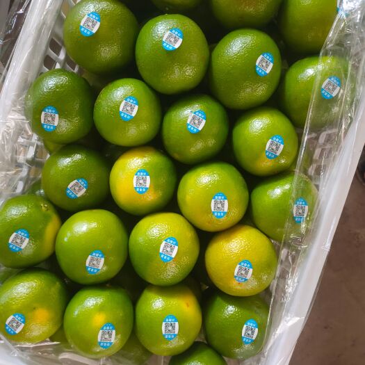 元江县云南哀牢山冰糖橙上市  欢迎各位老板咨询