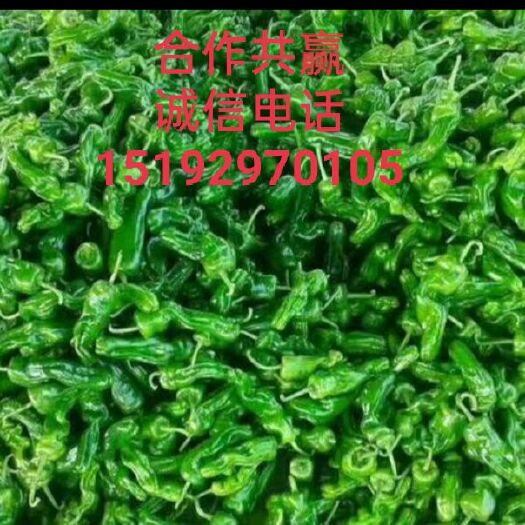 临沂辣椒  色泽光艳，质量保证，量大从优！