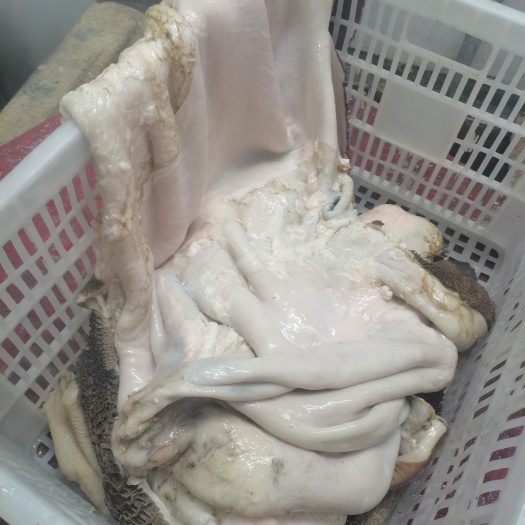 怀化牛肚无油、精修