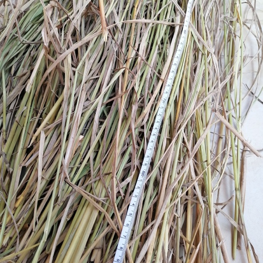 启东市酒厂.草帘专用稻草
