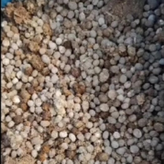 盐城大型种羊基地自产自销纯发酵羊粪有机肥，提供有机认证，货源充