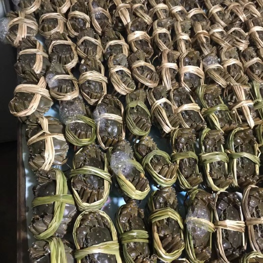 江阴市大闸蟹 江苏省常州市天宁区 