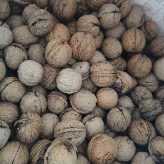 合阳县 干核桃
