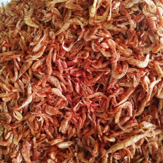  干虾，干禾花鱼，干白赶子鱼
