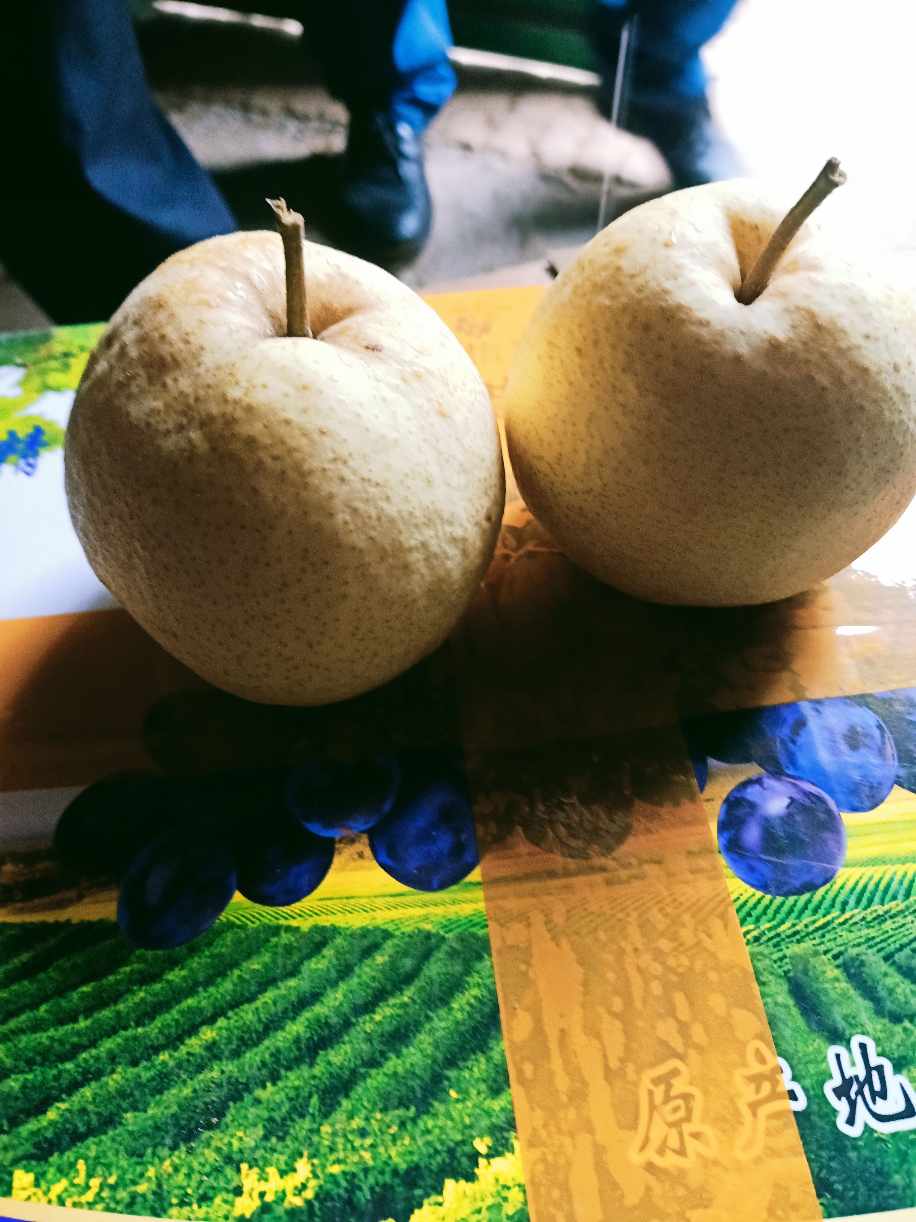 红星苹果 主营各种苹果，梨，成色好，价格优