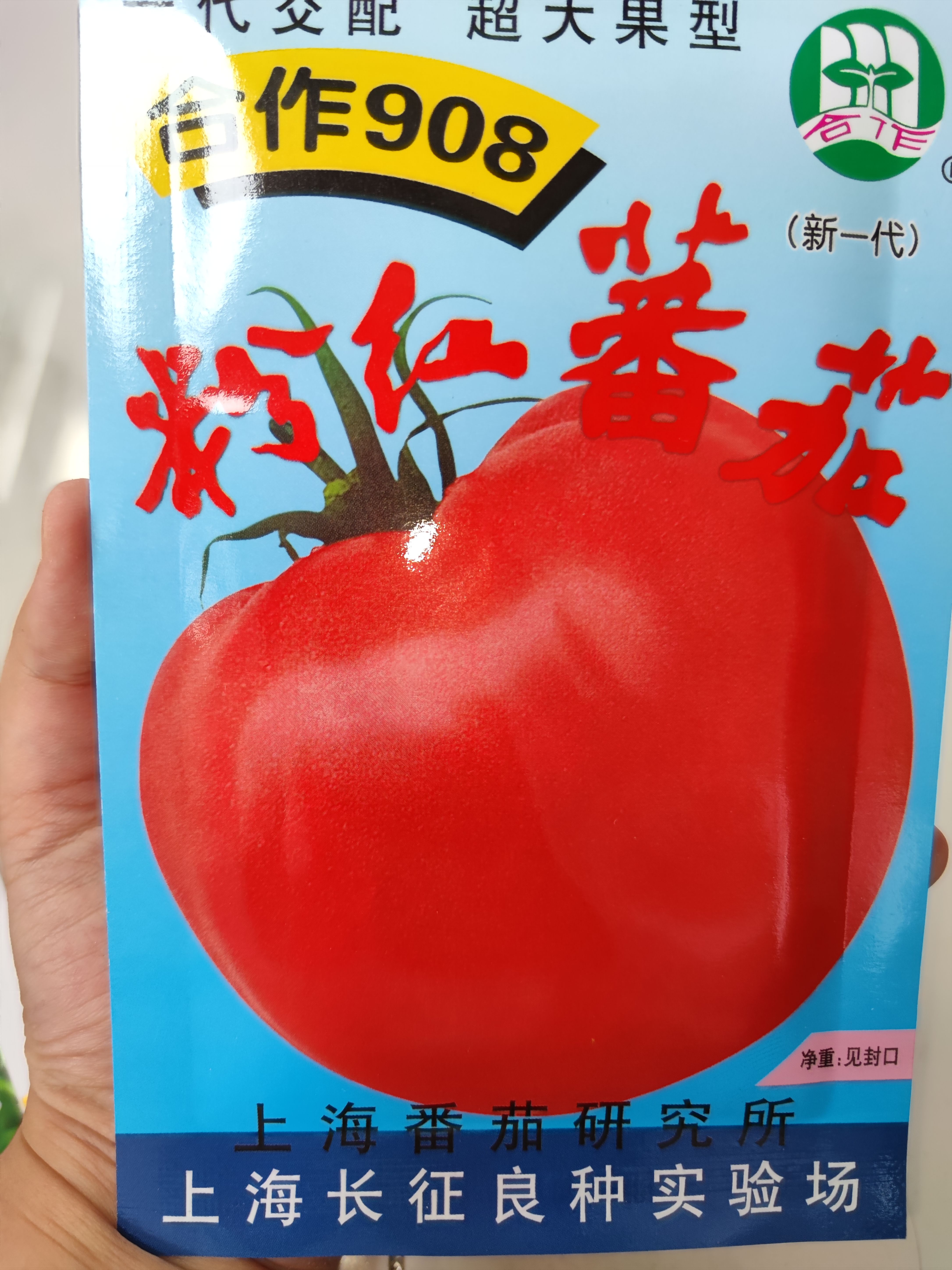 粉果番茄种子  合作908粉红番茄种子 杂交种中早熟型