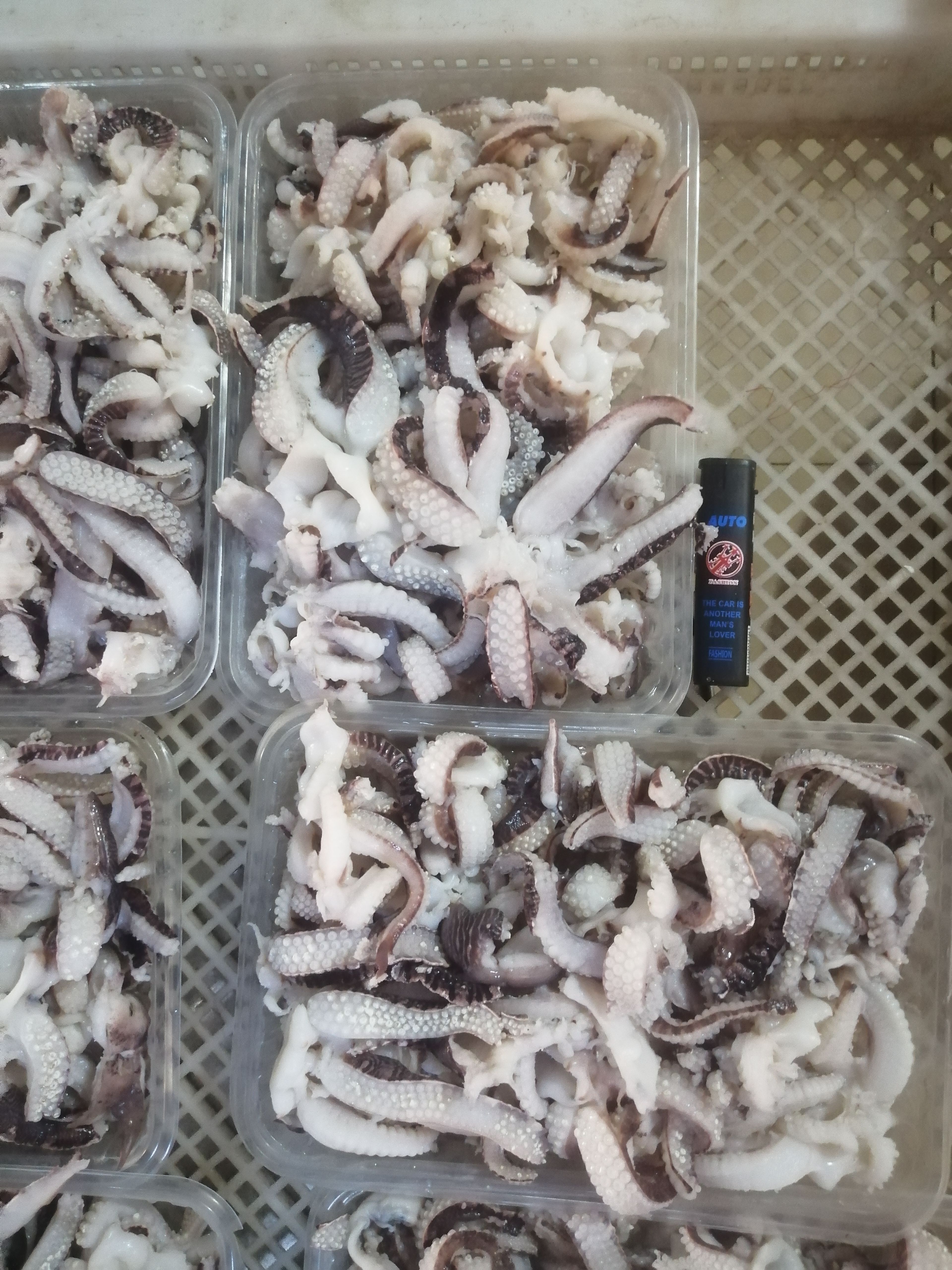 天龙爪鱿鱼须本港新鲜加工大量批发  货源充足，批量优先。