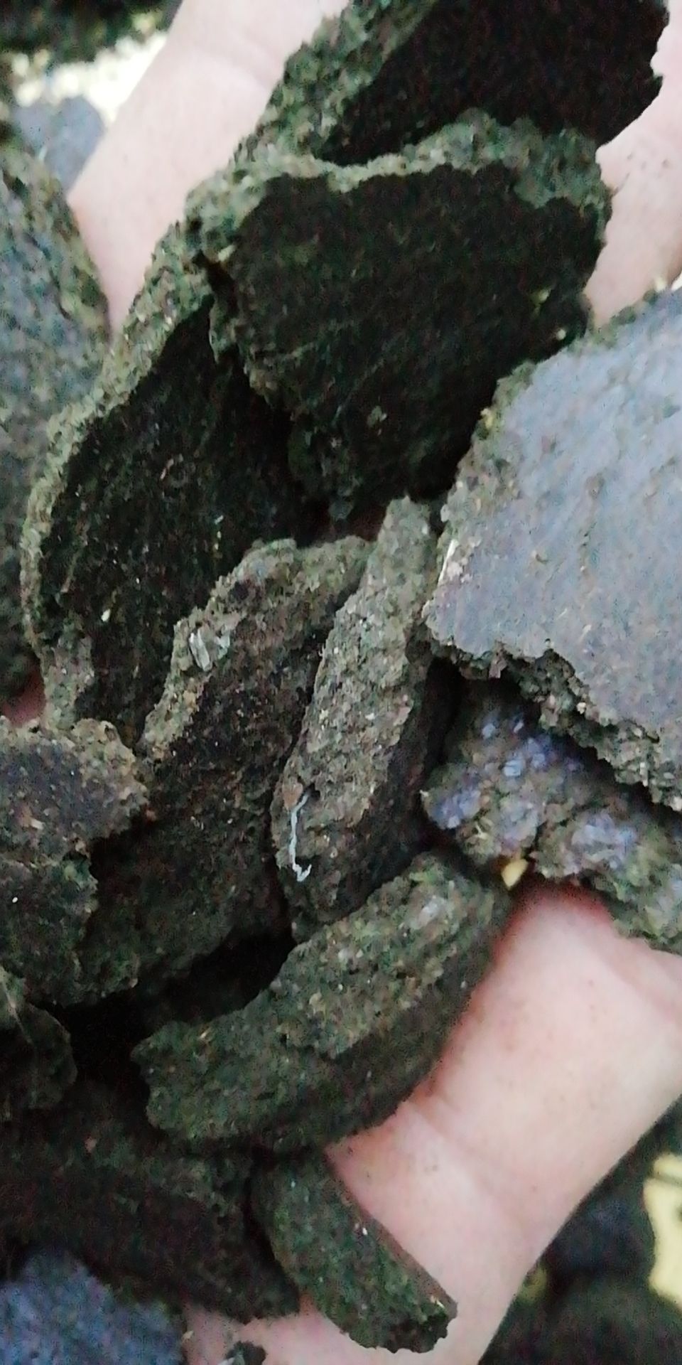 菜籽饼饲料 饲料饼