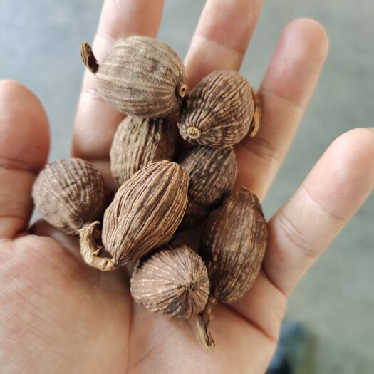 麻栗坡县 火烤优质干草果批发。