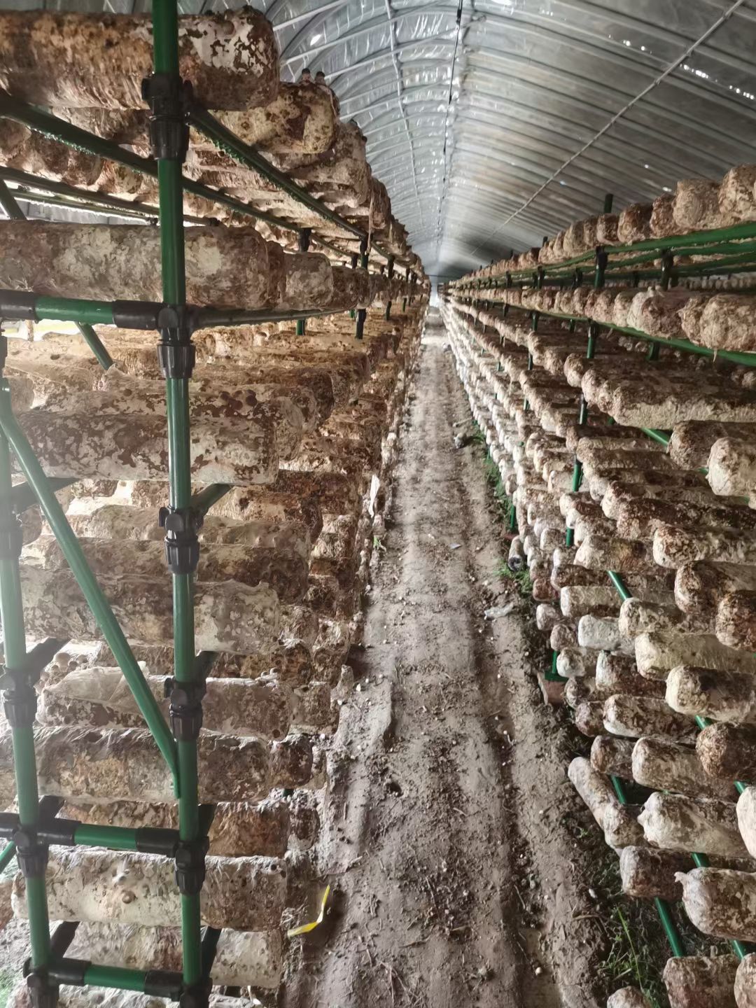 大棚设备 专业定做种植棚养殖棚蔬菜棚