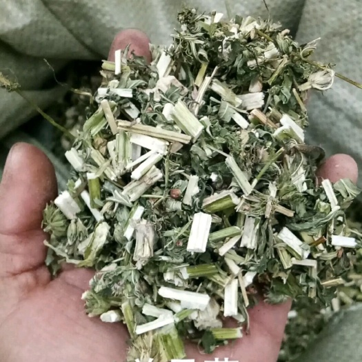 益母草，高含量，实心，紫花益母草，前期大货提供